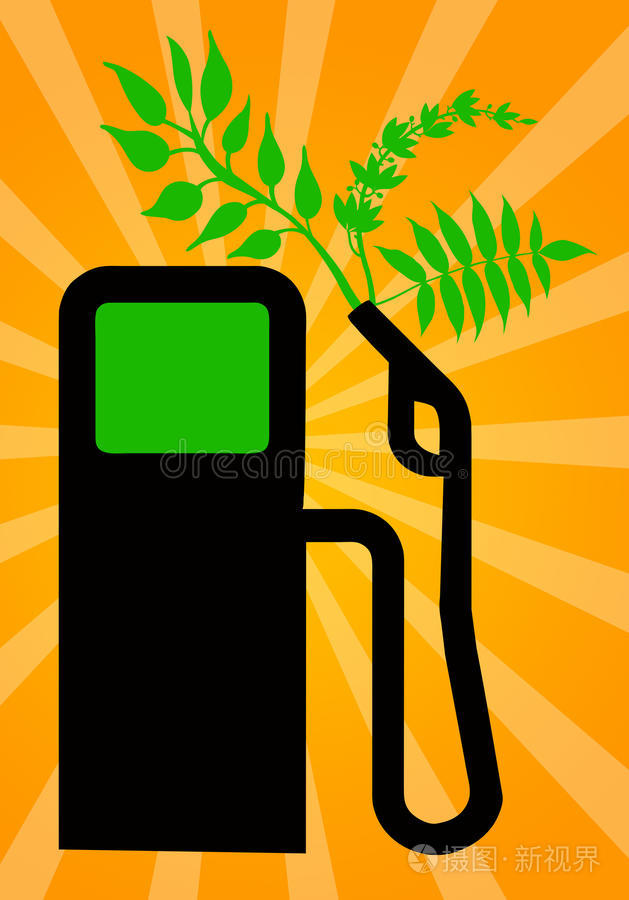 绿色燃料产业化元年——政策风口、供需结构与产业逻辑全解析