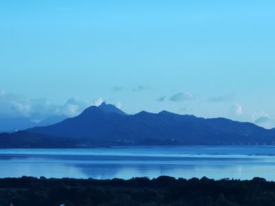 香港旅发局：首两月录逾995万访港旅客人次 同比增长18%