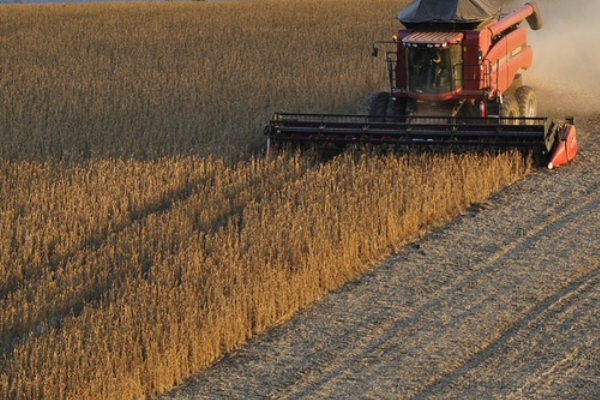 霍尔木兹海峡封锁若持续，“比2022年更凶猛”的农产品牛市要来了？