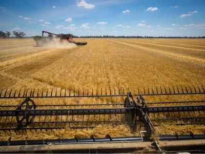 中共中央办公厅 国务院办公厅关于做好第二轮土地承包到期后再延长30年试点工作的意见