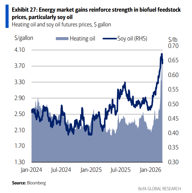 霍尔木兹海峡封锁若持续 “比2022年更凶猛”的农产品牛市要来了？ - 图片7