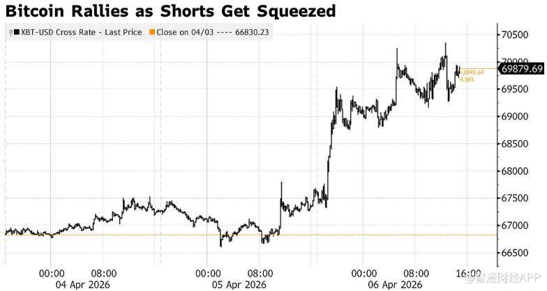 空头强平规模超1.45亿美元 比特币逼空反弹一度突破7万美元 - 图片1