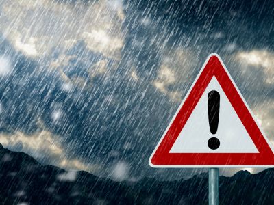 别被表象迷惑！美股连涨并非反转，投资者根本没盲目追高