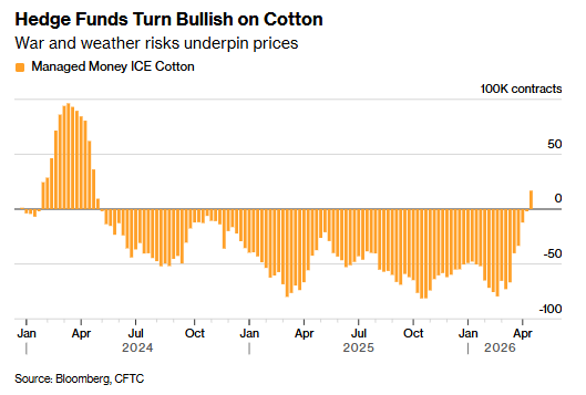 油价飙升与减产预期共振 对冲基金时隔两年重拾棉花多头押注 - 图片1