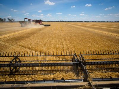 强厄尔尼诺叠加地缘冲突 全球食品通胀周期或开启