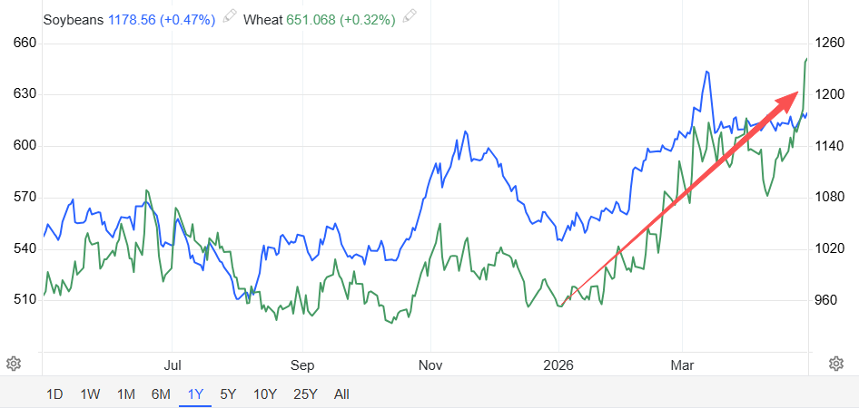 全球食品通胀加速抬头！伊朗战火与厄尔尼诺双重打击，农作物价格创两年新高 - 图片3