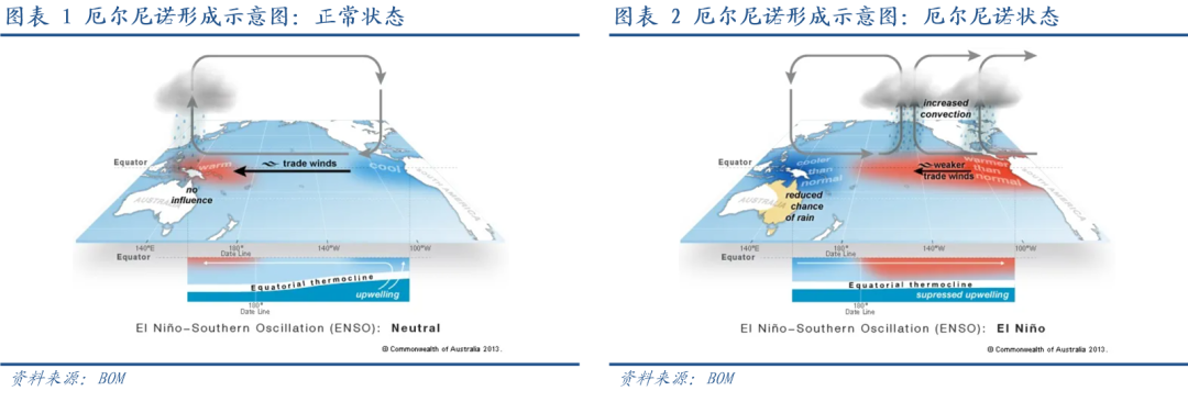 张瑜:五问“厄尔尼诺” - 图片1