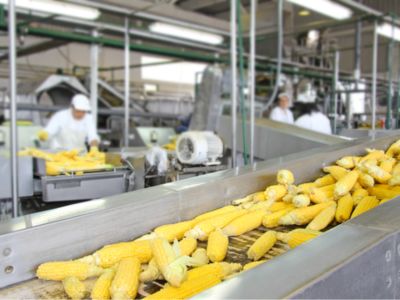 塑料短缺危机席卷亚太：多国农产品与食品巨头被迫转嫁成本，食品供应链面临大考