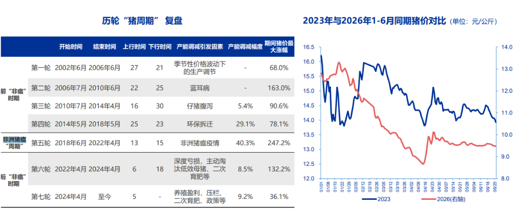 当前困境越大未来利润越高?高盛盯上了中国的猪肉 - 图片9