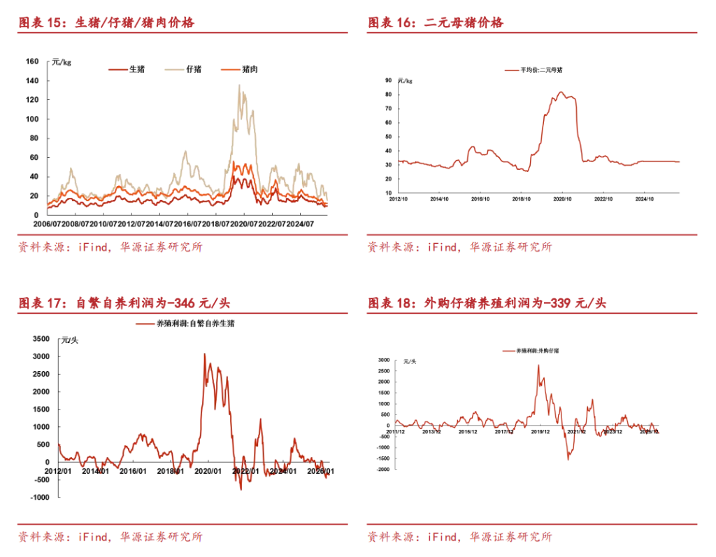 当前困境越大未来利润越高?高盛盯上了中国的猪肉 - 图片7