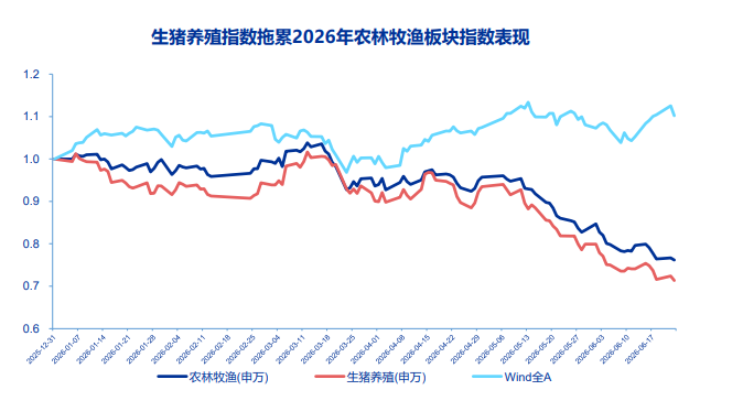 当前困境越大未来利润越高?高盛盯上了中国的猪肉 - 图片1
