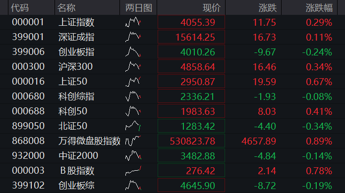 A股震荡分化,创业板转跌,培育钻石爆发,有色金属大涨,恒科指涨近1%,生物医药拉升 - 图片1