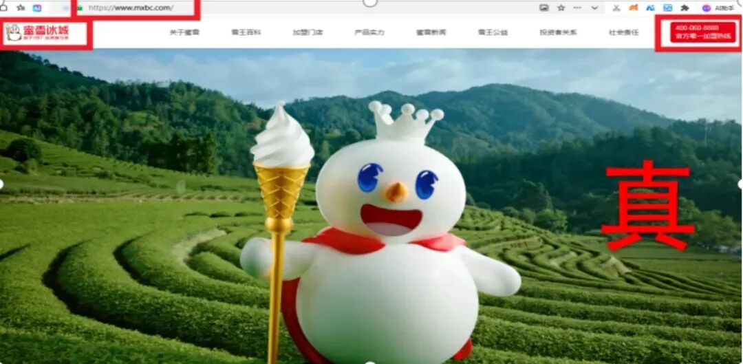 中央网信办举报中心上半年转交处置仿冒假冒网站759个 - 图片11