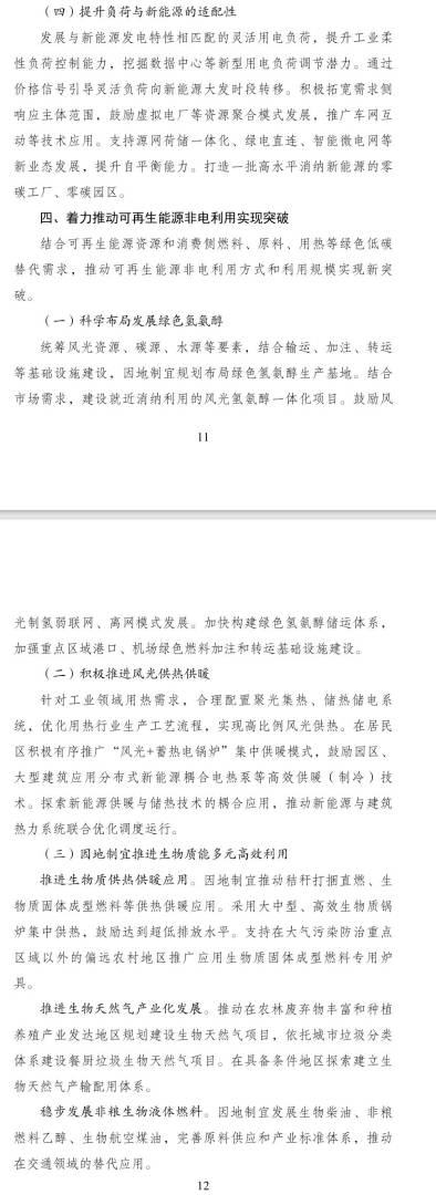 《可再生能源发展“十五五”规划》:2030年可再生能源消费总量达到18亿吨标准煤左右 - 图片3