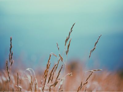 华尔街资产代币化加速落地！摩根大通、高盛等近40家机构完成区块链交易测试 10月将进一步扩大应用