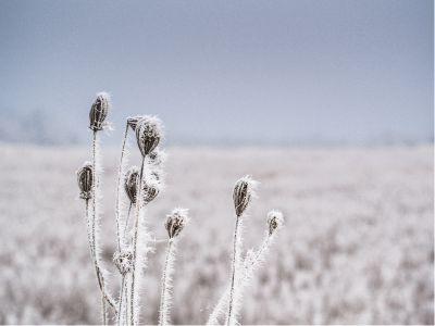 高温天气席卷美国多地 天然气期货涨约2% 德州电力需求或连续刷新纪录