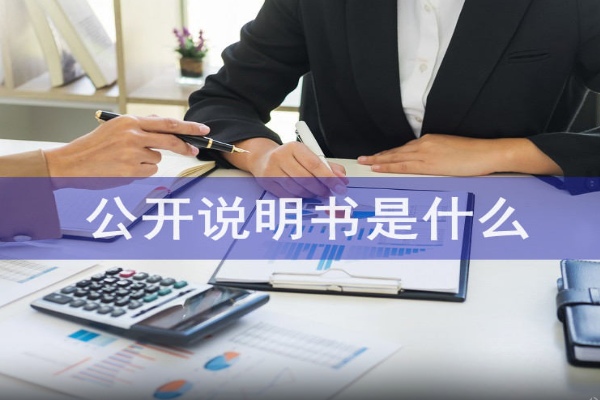 公开说明书：结构与阅读重点有哪些？为什么新手该看？